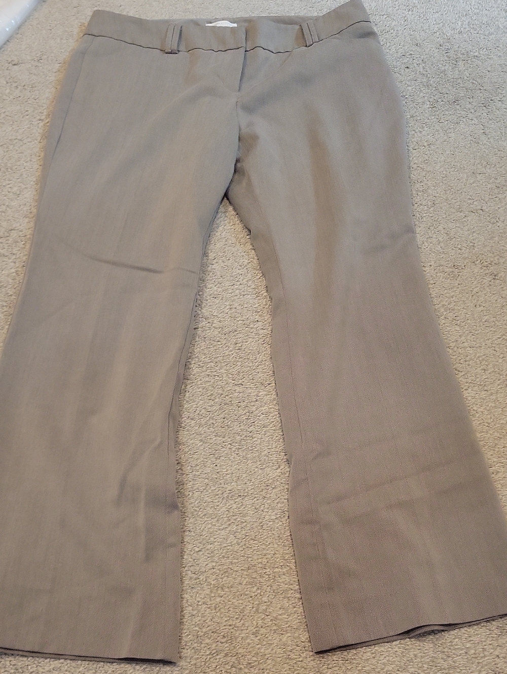 New York & Company Stretch Petite Pants in Taupe